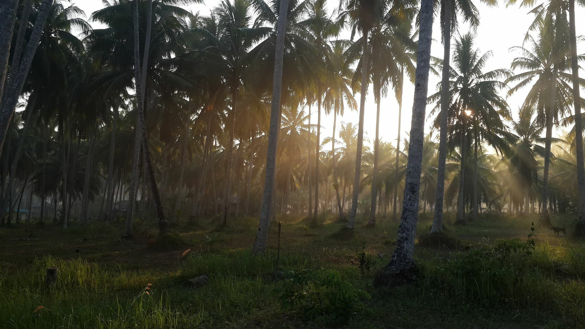 Baan Phuean Koh Kood Hotel Ko Kut Екстериор снимка